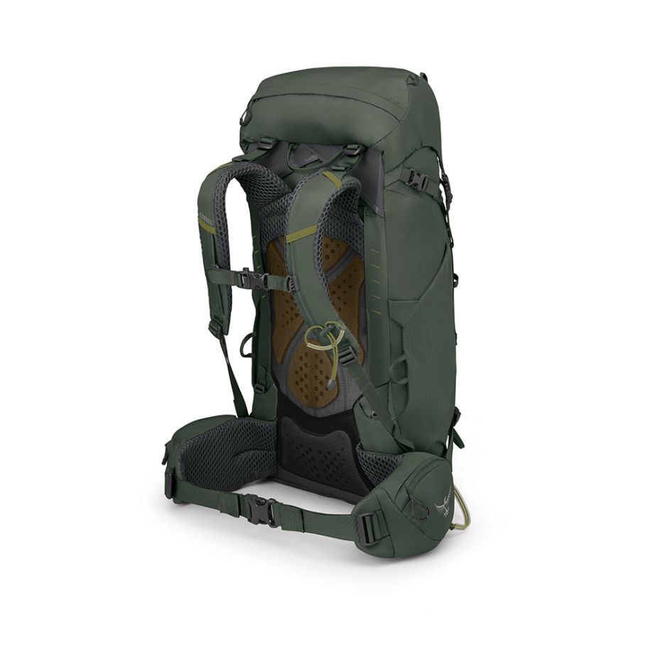 Osprey Kestrel 38 Bonsai Green S/M