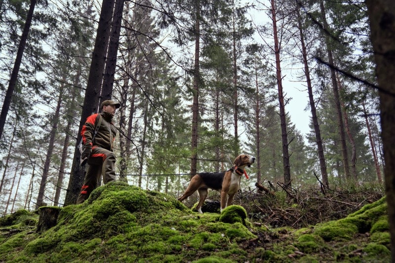 Härkila Pro Hunter Dog Keeper GTX Jakke Willow Green/Orange